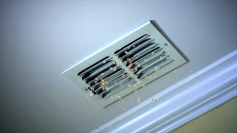 Best Ductwork Cleaning Services  in Mayo, MD